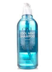 ESTHETIC HOUSE CP-1 Cool Mint Shampoo Освіжаючий шампунь для волосся з ментолом, 500 мл (013194)