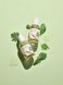 Заспокійлива сироватка для обличчя з морським полином Round Lab Mugwort Calming Serum 50 мл (593103) 593103, 2/2 - Pikami
